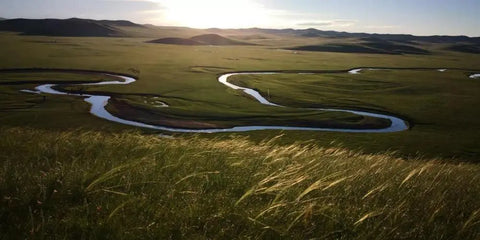 From Mongolia to San Francisco: A Cultured Craft in Cashmere